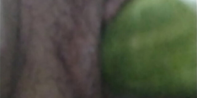 cucumber,dildo,masturbation,sex,toys