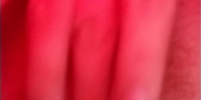 femdom,pussy