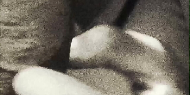 black,blowjob,sex
