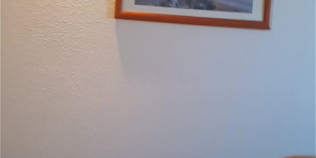 pussy