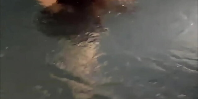 boobs,flashing,molten,pool,public,wife